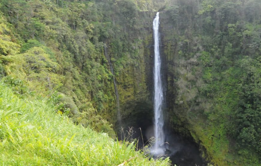 Akaka-Falls-State-Park-870x555