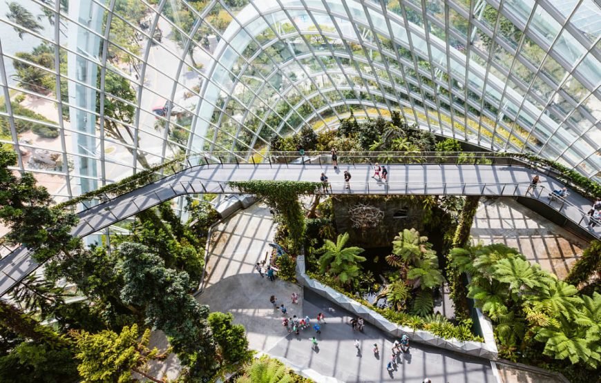 garden-by-the-bay-singapore-trip-870x555